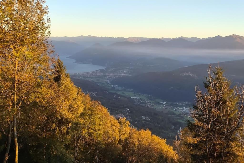B&B Vegan La Mucca Felice - Grazioso Appartamento Nel Verde Rancio Valcuvia Exterior foto