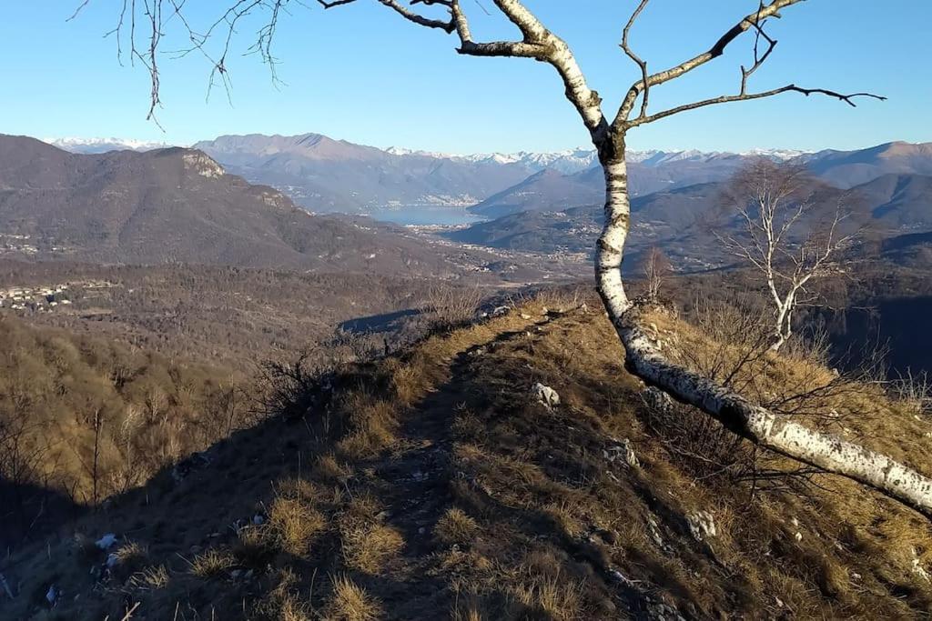B&B Vegan La Mucca Felice - Grazioso Appartamento Nel Verde Rancio Valcuvia Exterior foto