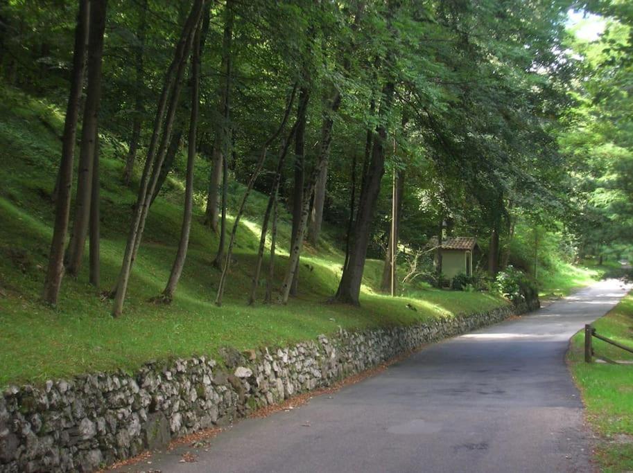 B&B Vegan La Mucca Felice - Grazioso Appartamento Nel Verde Rancio Valcuvia Exterior foto