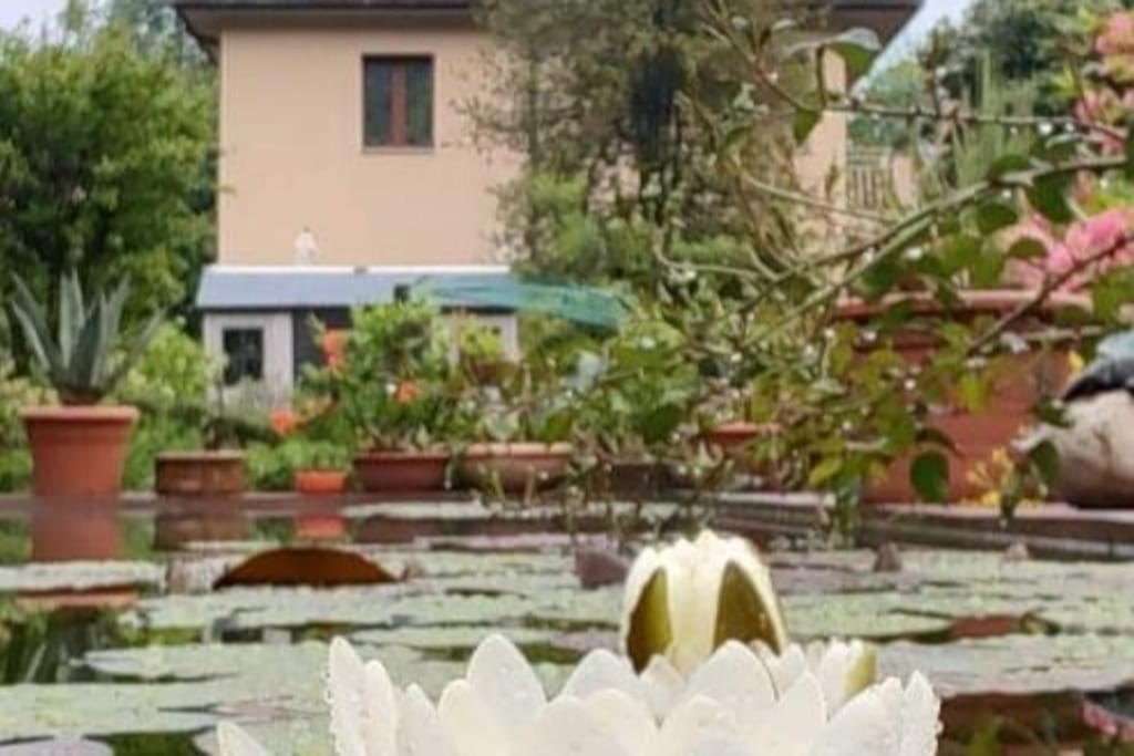 B&B Vegan La Mucca Felice - Grazioso Appartamento Nel Verde Rancio Valcuvia Exterior foto